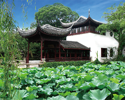 �Ž�������